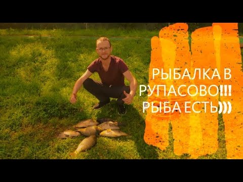 Видео: РЫБАЛКА В МЫТИЩАХ! РУПАСОВСКИЕ ПРУДЫ! ПЛАТНИК НЕДАЛЕКО ОТ ДОМА!!!