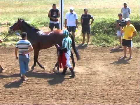 Видео: Конни надбягвания 25 юли 2009 г. Шумен