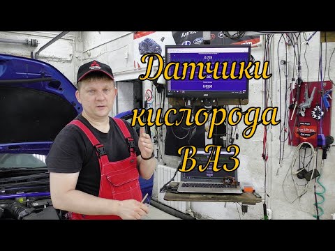 Видео: Обзор датчиков кислорода, автомобили ВАЗ