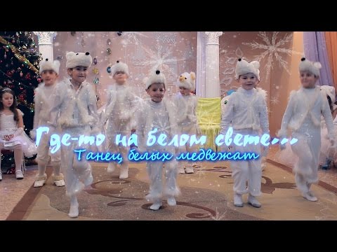 Видео: "Где-то на белом свете..." танец белых медвежат