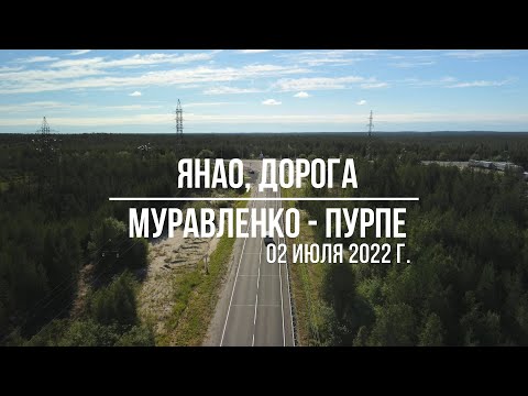 Видео: ЯНАО. Дорога г. Муравленко - п. Пурпе. 02 июля 2022 г.