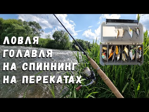 Видео: Ловля голавля на спиннинг на перекатах