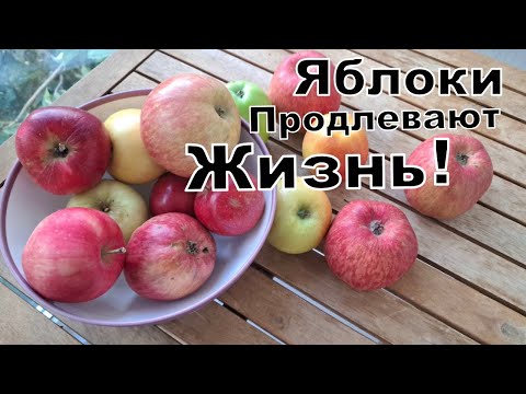 Видео: Яблоки. Простое Решение для Большого Здоровья