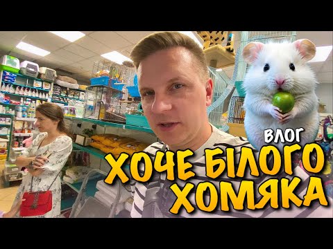 Видео: КАРОЛІНКА ХОЧЕ БІЛОГО ХОМЯКА | НОВІ ІГРАШКИ В MCDONALDS | КОРМ НАПОВНЮВАХ ДЛЯ ХОМЯКІВ | HAMSTER VLOG