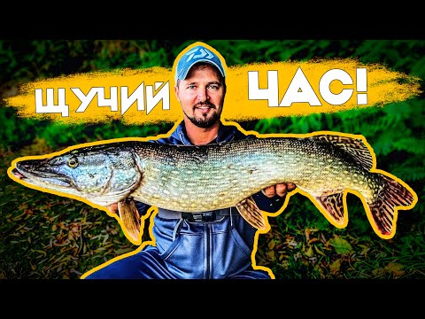 Видео: Гарна щука на Десні на довбаний "Shaker": ловлю на приманку, яку не люблю