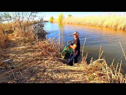 Видео: ПОЛЖИЗНИ МЕЧТАЛ О ТАКОЙ РЫБАЛКЕ! Дикий жор в зарослях САЗАНА, КАРАСЯ, ЖЕРЕХА! С ночёвкой