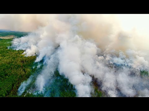 Видео: Пожары в Якутии начались раньше обычного 2021 город