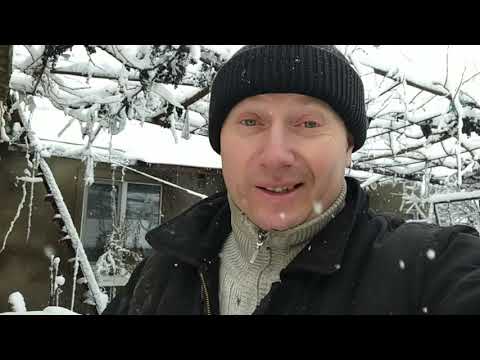 Видео: Ремонт заднего стакана  Nissan X-Trail