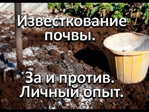 Видео: Известкование почвы. Личный опыт.