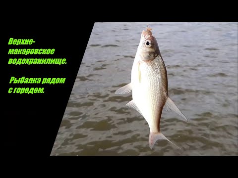 Видео: Рыбалка на Верхне-Макаровском водохранилище в Курганово.