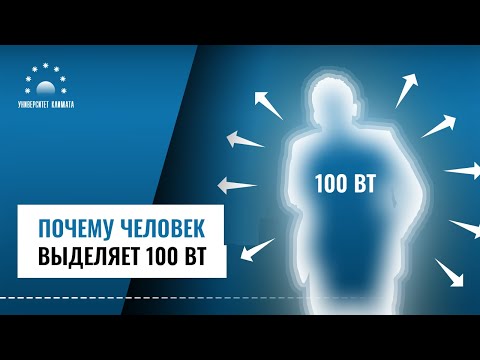 Видео: Почему человек выделяет 100 Вт