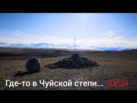 Видео: Чуйская степь, Яки, Строматолиты, гнёзда Чёрных Грифов, Петроглифы, каменные бабы, курган, Алтай
