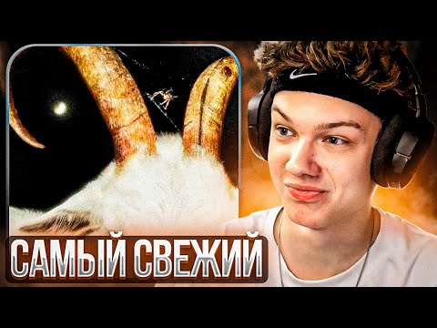 Видео: FRESCO - ENIGMA | Реакция и разбор