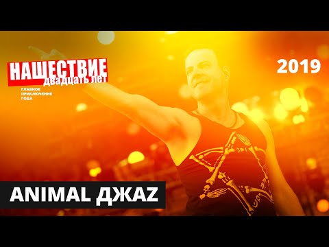 Видео: Animal Джаz // НАШЕСТВИЕ 2019 // Полное выступление
