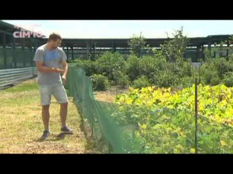 Видео: Семья Лысенко - Спасите нашу семью - Выпуск 5 - Второй сезон - часть 3 - 29.09.2013