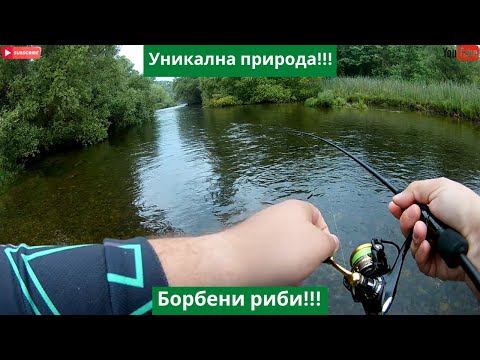 Видео: Уникална красота!!! Кефали по р. Тунджа...