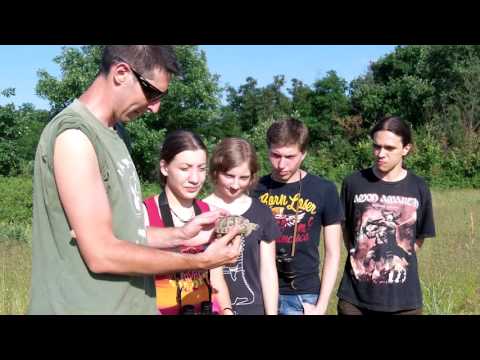 Видео: "Ново Начало за Сухоземните Костенурки" [edited]