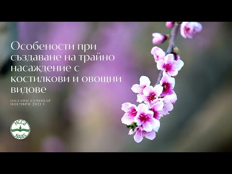 Видео: Особености при създаване на трайно насаждение с костилкови овощни видове