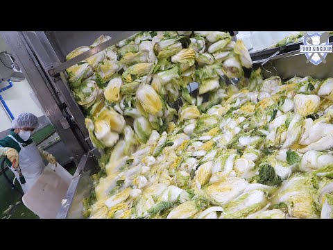 Видео: 7000 тонн в год! Как приготовить кимчи на корейской фабрике кимчи