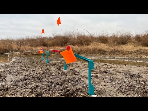 Видео: Закидушки на Налима. Жерлицы Петрова. Готовим в Афганском казане