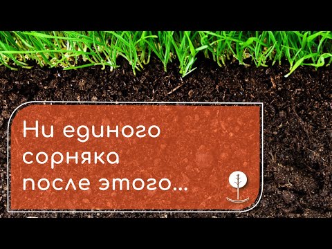 Видео: Как уничтожить сорняки? - НАПАЛМ ЗНАЕТ!