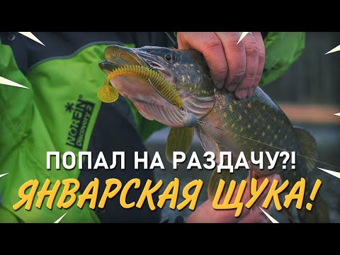 Видео: Раздача щуки на спиннинг в январе. Практика ловли №48