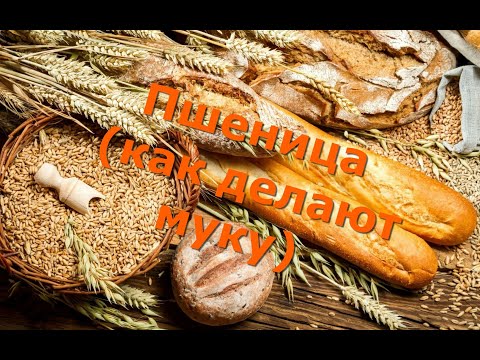 Видео: Пшеница (как делают муку) wheat, bread