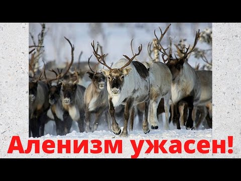 Видео: Как избежать Аленизма