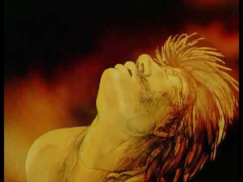 Видео: Цветок папоротника (1979) Мультфильм Аллы Грачевой