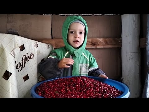 Видео: Выходные в деревне/Часть 1