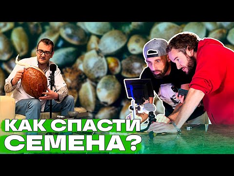 Видео: Взойдут ВСЕ! Лайфхаки по ПРОРАЩИВАНИЮ СЕМЯН.