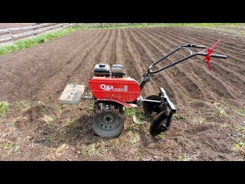 Видео: Мотоблок Ока - нарезка гребней и посадка картофеля.