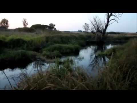 Видео: охота на бобра для новичков.hunting for a beaver