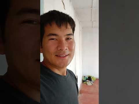 Видео: Каба айылы мен туулган үй, апам төрөт үйүнө жетпей калып мени үйдө төрөгөн экен.