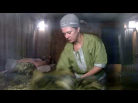 Видео: Мазурова Ольга г. Москва. Домашний банщик. Зачет. Академия Банного Дела представляет.