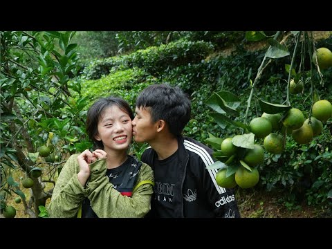 Видео: Поцелуй в апельсиновом саду: Когда настоящая любовь — лекарство, исцеляющее душу