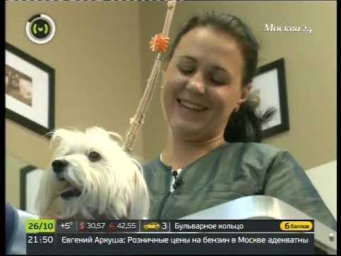 Видео: Москва 24