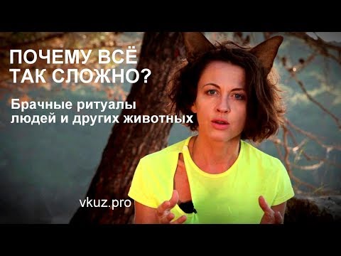 Видео: Выбор партнёра: почему все так сложно? // лекция "Всё как у зверей"