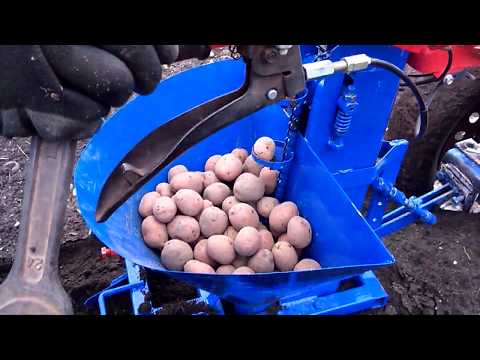 Видео: Испытание картофелесажалки цепной, на мотоблок (часть 2)