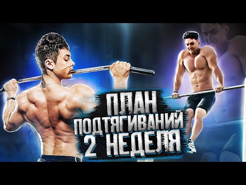 Видео: ПОДТЯГИВАНИЯ lvl 2 / ПОДТЯГИВАНИЯ НА ТУРНИКЕ ОСНОВНЫЕ ОШИБКИ