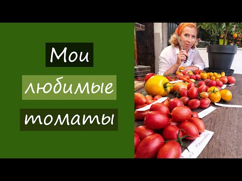 Видео: Мои любимые томаты. Дегустация 2020