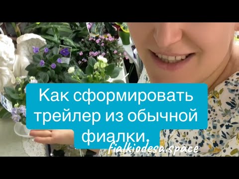 Видео: Как из обычной фиалки сделать трейлер! 
