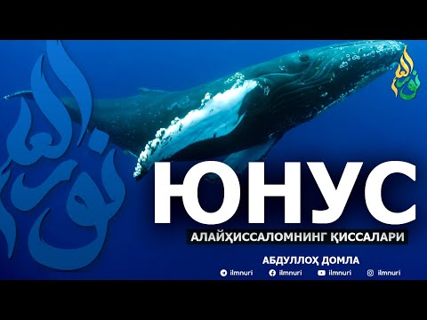 Видео: ЮНУС АЛАЙҲИССАЛОМНИНГ ҚИССАЛАРИ - АБДУЛЛОҲ ДОМЛА