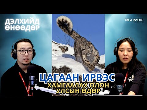Видео: Дэлхийд өнөөдөр | 2025-10-23 | Цагаан ирвэс хамгаалах олон улсын өдөр