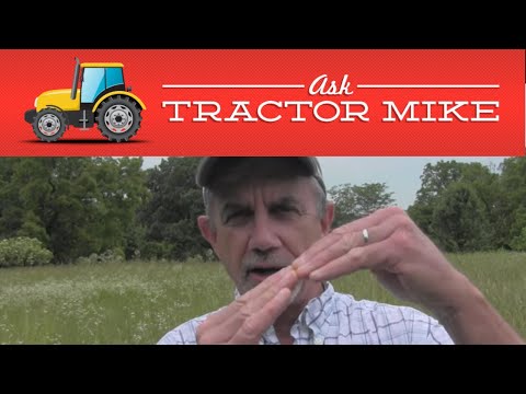 Видео: Как впервые почистить кабана (или кустарникового кабана)... 10 советов, которые сделают этот проц...