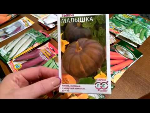 Видео: Мой выбор семян на 2019 год.