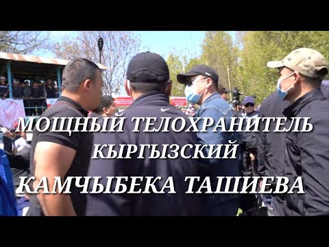 Видео: Бауыржан - Камчыбек Ташиев Алла сабыр берсин ачууга алдырбаңыз