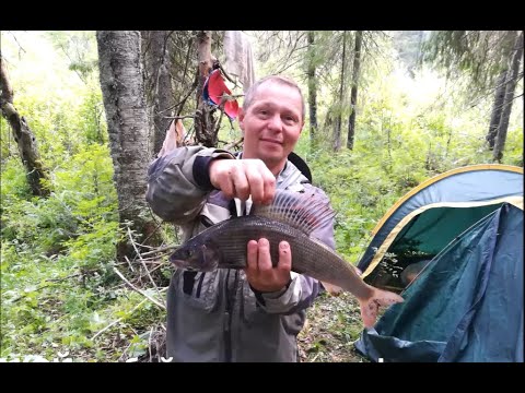 Видео: Хариус на Севере Пермского края. Экспедиция. ПЕРЕЗАЛИВ.