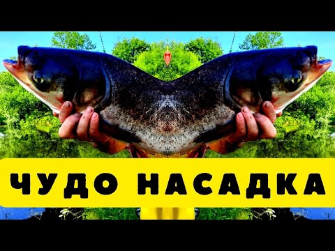 Видео: А Вы знали что эту обычную насадку можно использовать так необычно