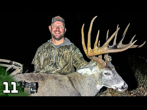 Видео: Идеальный кадр на гигантского оленя из Огайо, предгон уже здесь!